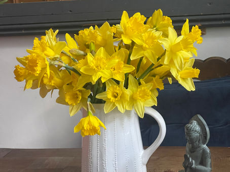 'Then again the squirrels, pigeons and crows are also engaged and going about their business.....'