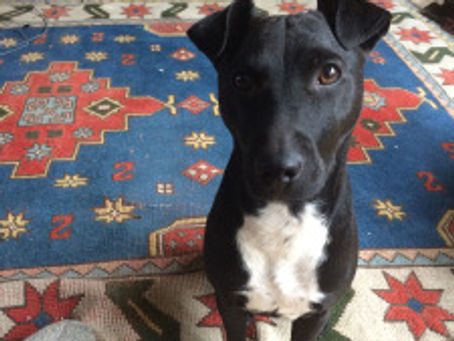 37:100: For changes in plan & stillness: Thank You:Thank You;Thank You.