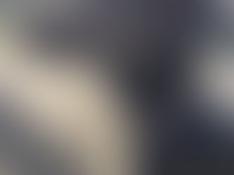 Fortnam and Mason's windows tell of the beehives and salads that they cultivate on their roof.