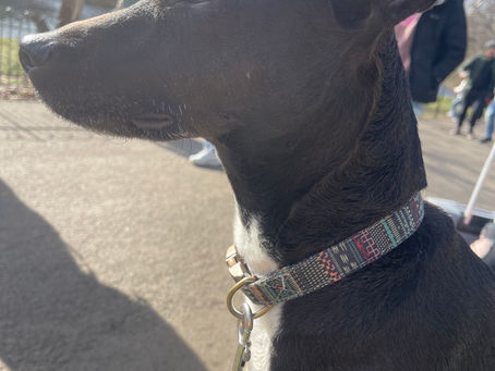 Fortnam and Mason's windows tell of the beehives and salads that they cultivate on their roof.