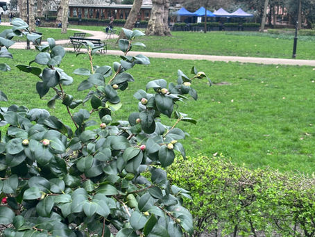 For the time that we have on this earth, with the people that we love: Thank You, Thank You, Thank You.