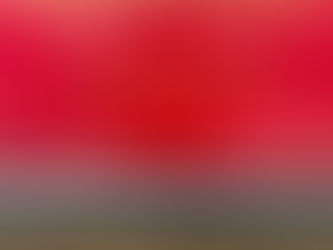 For enduring beauty, for mysticism and wisdom: Thank You, Thank You, Thank You.