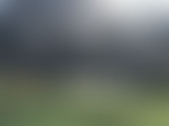 For the unpredictability that is predictable in England. Thank You, Thank You, Thank You.