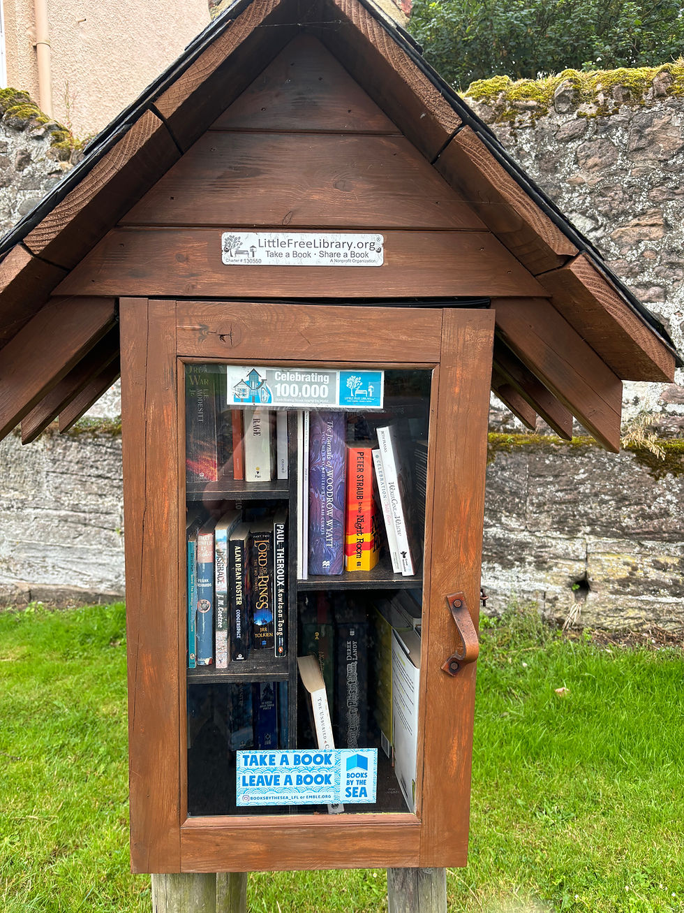At the end of July, by a deserted beach in Berwick on Tweed I discovered this small library. I liberated a detective story.