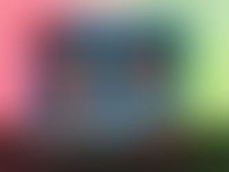 Gyarados ex Premium Collection