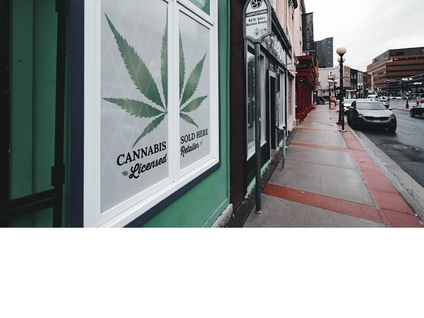 Finding a cannabis store