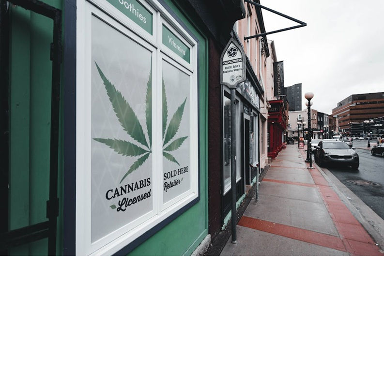 Finding a cannabis store