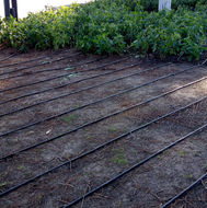 Plazoleta Brig. Gral. Tomás de Iriarte - Recoleta  .jpg