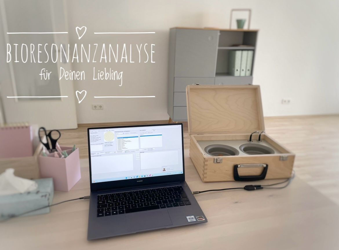 Bioresonanz HaarAnalyse