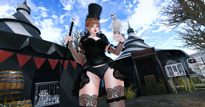 The Enchanted Menagerie