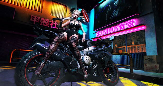The Rider’s Code