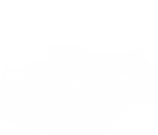 pngwing.com.png