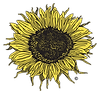 SunflowerLogo2026.png