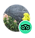 funandgamestravel tripadvisor.png