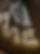 IMG_0534.jpeg