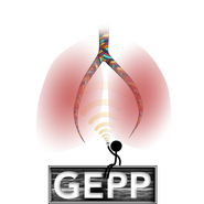 session (without trans bronchi).png