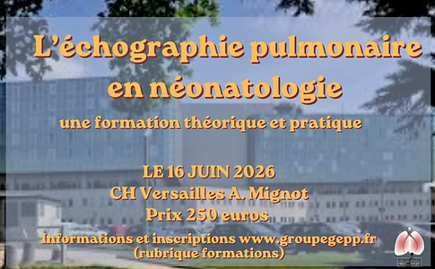 Formation Versailles 160626 Echographie pulmonaire.png