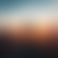 Confident: Standing Tall in Your Strengths