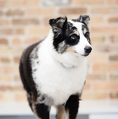 Surfaces People-95.jpg