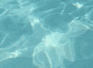 korkz-floating-eyewear-retainers.gif