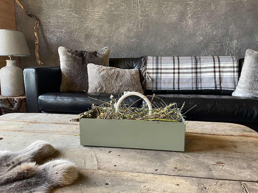 Miniaturbild: Das Designeraccessoire für Dein Zuhause. Die Toolbox kann überall hin mitgenommen werden wo sie gebraucht wird.