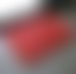 กำจัดกลิ่นจากสัตว์เลี้ยงออกจากพรม