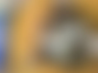 ขจัดกลิ่นบุหรี่บนพรมเช็ดเท้า