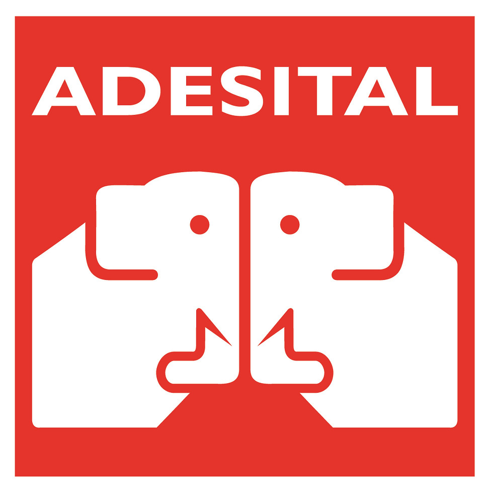 Logoja e Adesital.jpg