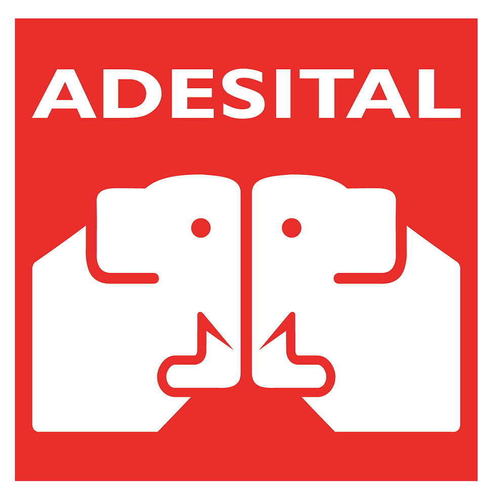 Adesital Logo