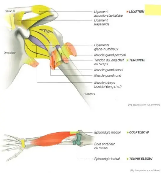 2a88b2_133f8559b5b74ff19dabd2218bf761af~mv2 (1).webp