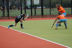 13178975_1609299305985413_6545819654982789456_n