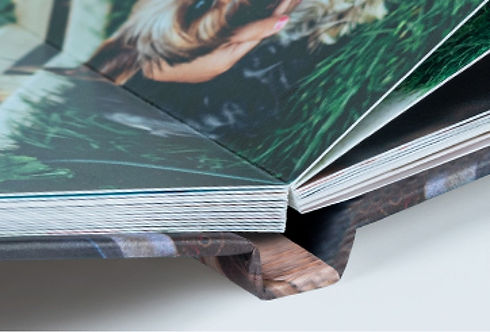 2-binding-premium-layflat_2x.jpg