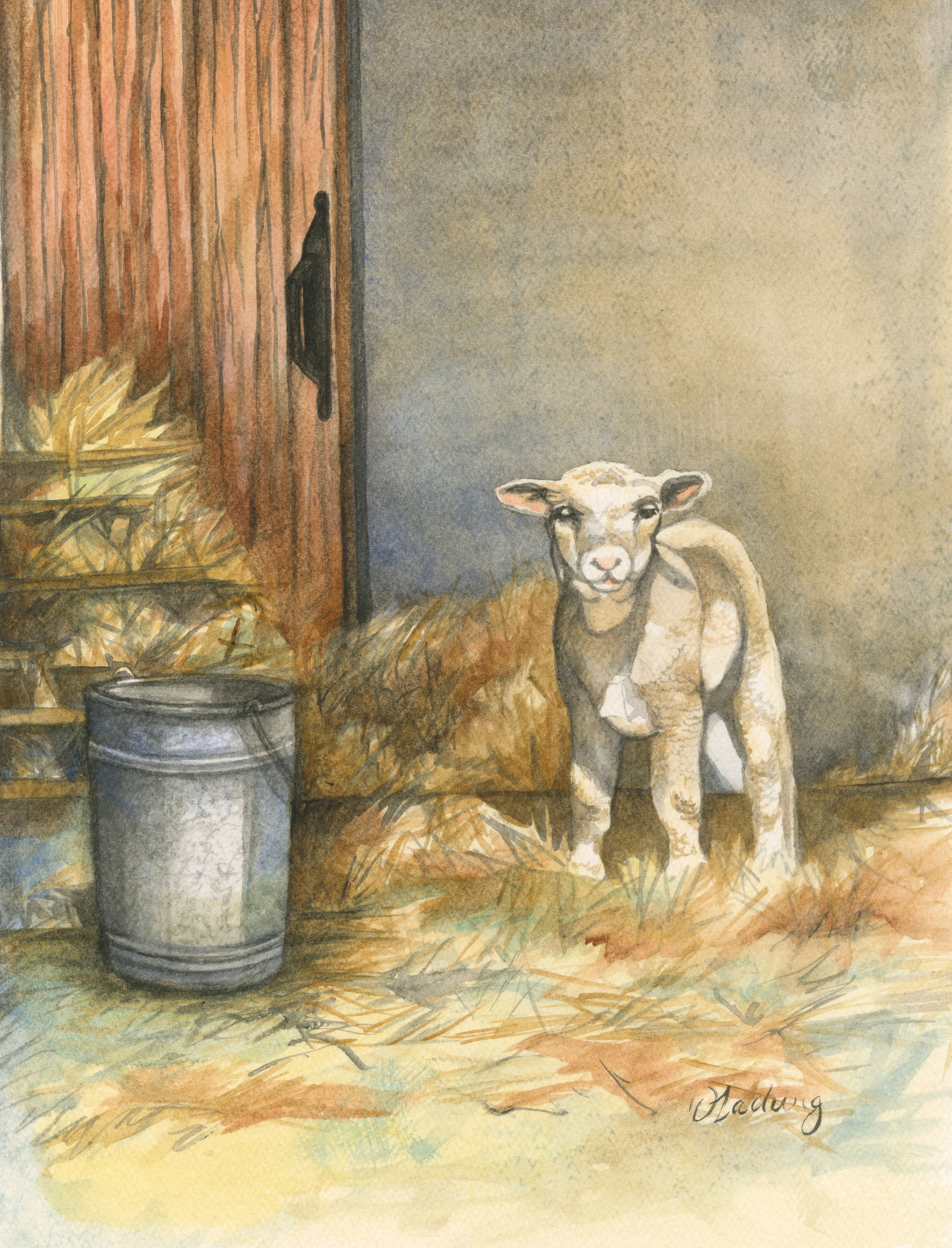 Mary had a Lil' Lamb?