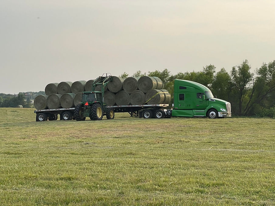 hay.jpg