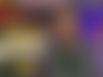 Caleb Mission Newsletter 💌 The Last Week of December