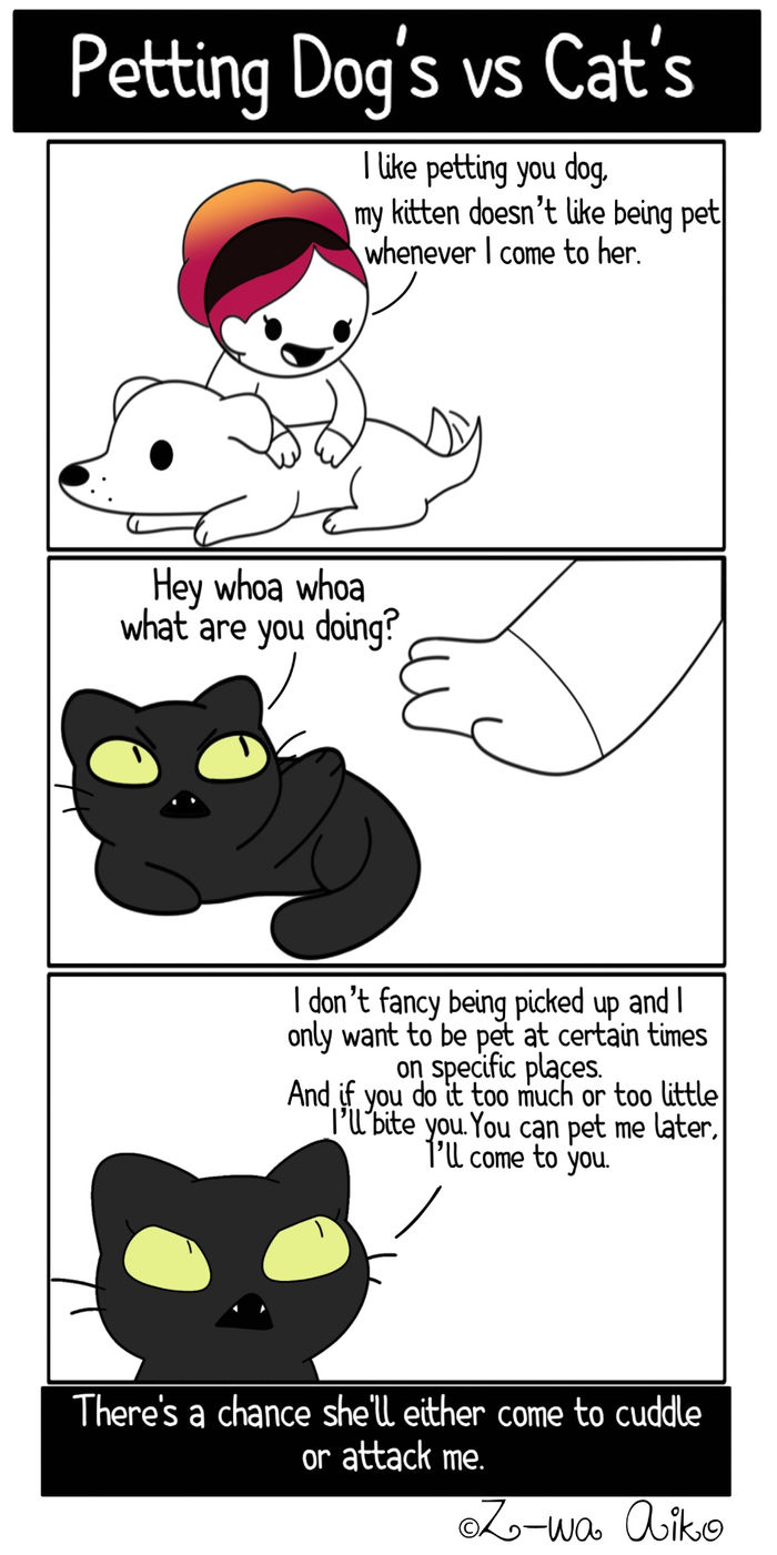 Petting Dog's vs Cat's