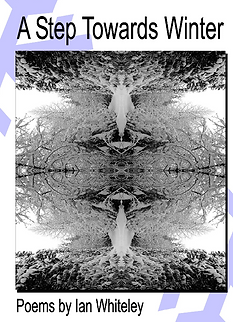 book cover_edited.jpg