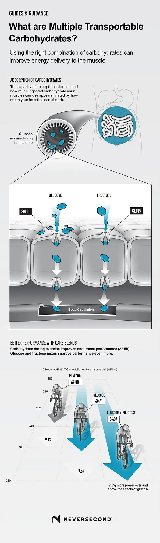 GG_Infographic_what-are-multiple-transportable-carbohydrates.webp