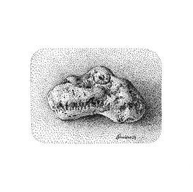 Dinosaur ©Novikov 2023