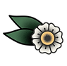 Yorkshire Rose-01_edited.png