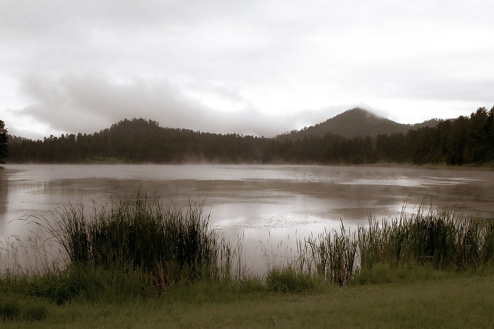 Black Hills National Forest