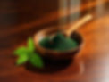 Spirulina_25-09-G_edited.jpg