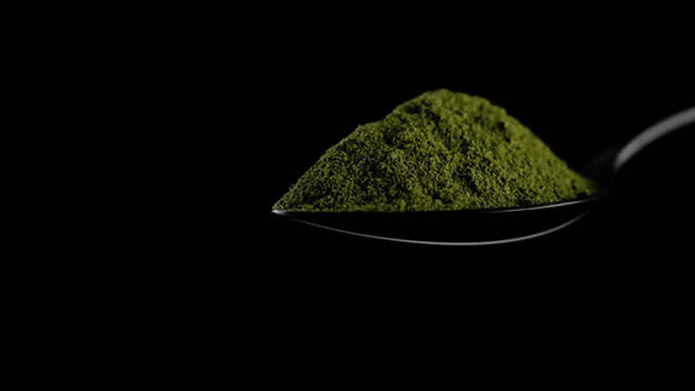 Spirulina-32B.jpg