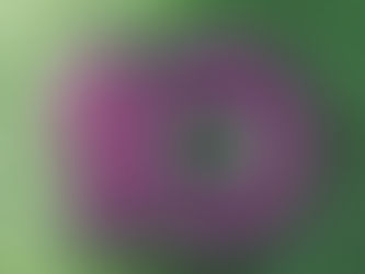 MANDAMENTOS DO ILUSTRADOR DE LIVROS INFANTIS