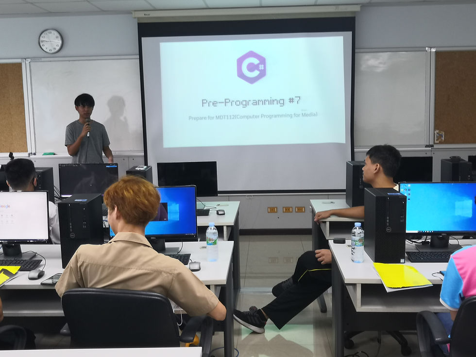 Head of the project "Pre-Programming"