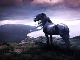 THE BEAUTY OF HORSE POWER 1