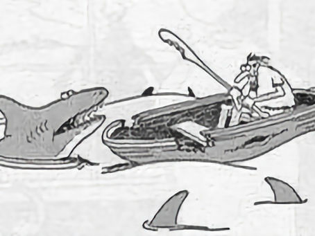 SWIMMING WITH SHARKS