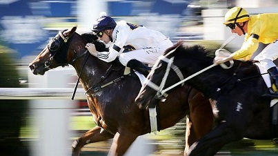 THE $140 MILLION GRAB BAG OF HONG KONG RACING’S WANG DANG DIM SUM AND THEN SUM DOODLES
