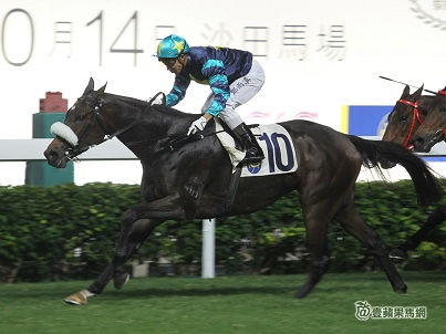 THE FAST TRACK GUIDE TO SUNDAY AT SHATIN