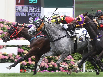Whyte, Tips, Macau, Shatin